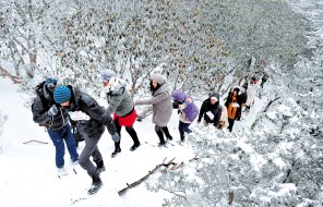 　　昆明旅游形象大使选手们互相搀扶登轿子雪山。 记者杜文蕾摄